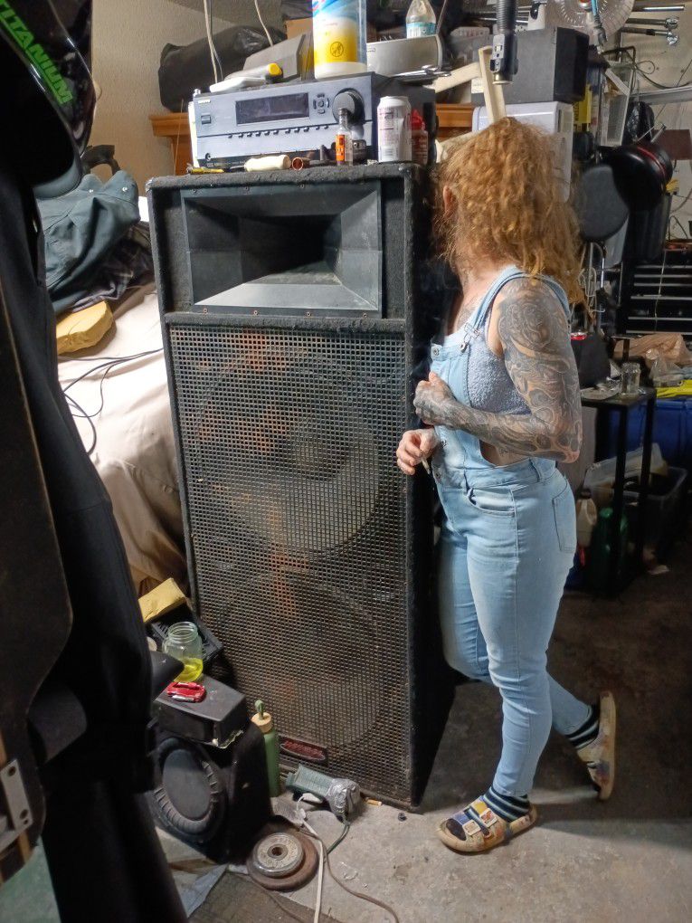 Used Concert Speakers. 20 Inch.