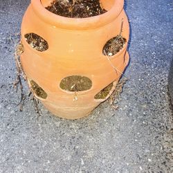 Large Terracotta Strawberry Pot / Planter - has 12 Plant Holes