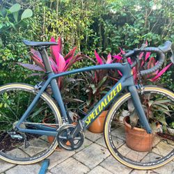 2020 Specialized Roubaix  