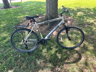Bianchi mountain bike Large 20”