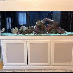 Aquarium/ Fish Tank / Saltwater 