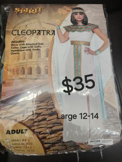For Sale Halloween Costumes