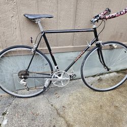 Univega 12speed Bicycle 