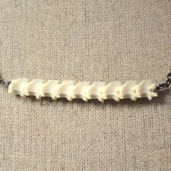 🐍 Snake Vertebrae Necklace with a Metal Chain 🐍