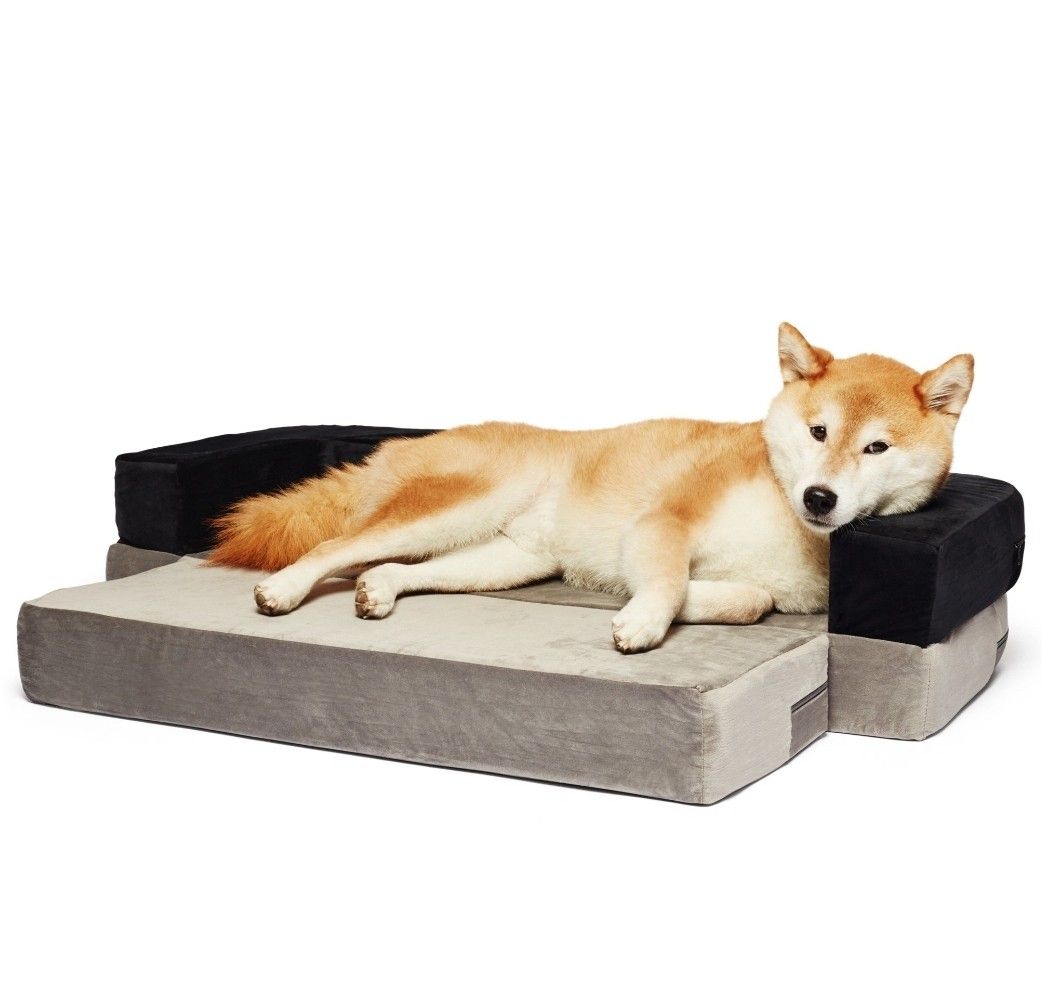 Dog Bed Convertible to Sofa, Medium Size