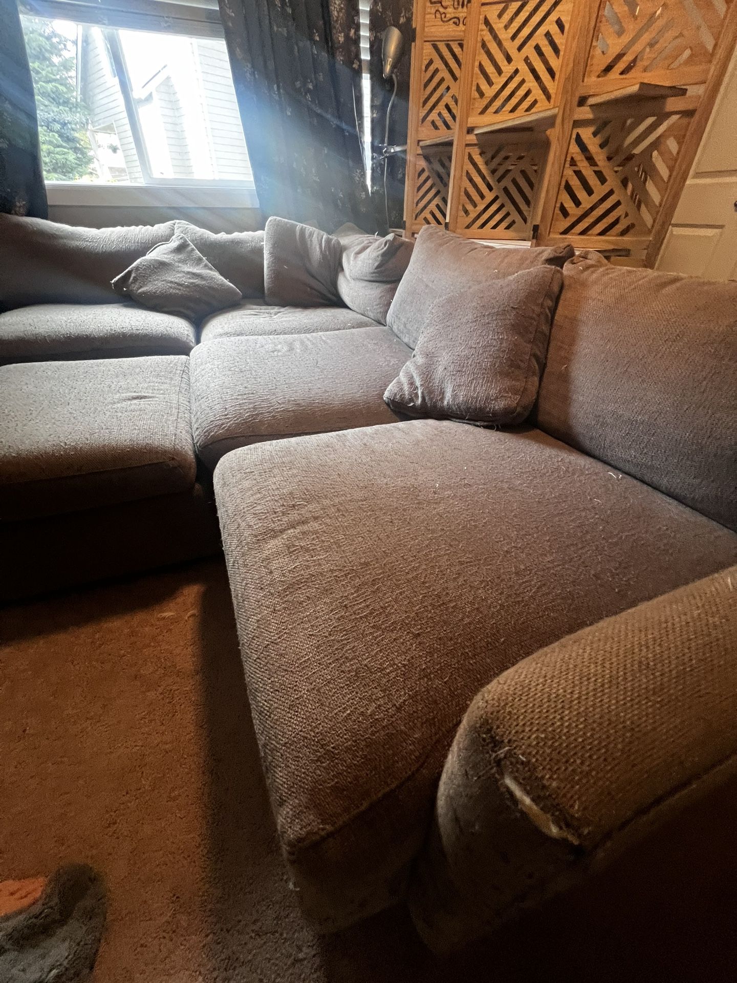 Free Crate And Barrel Couch