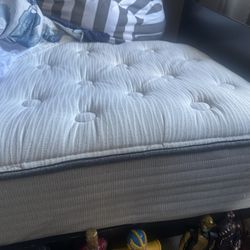 Beaty Rest Twin XL Bed