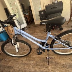 Roadmaster Graphite Peach 
