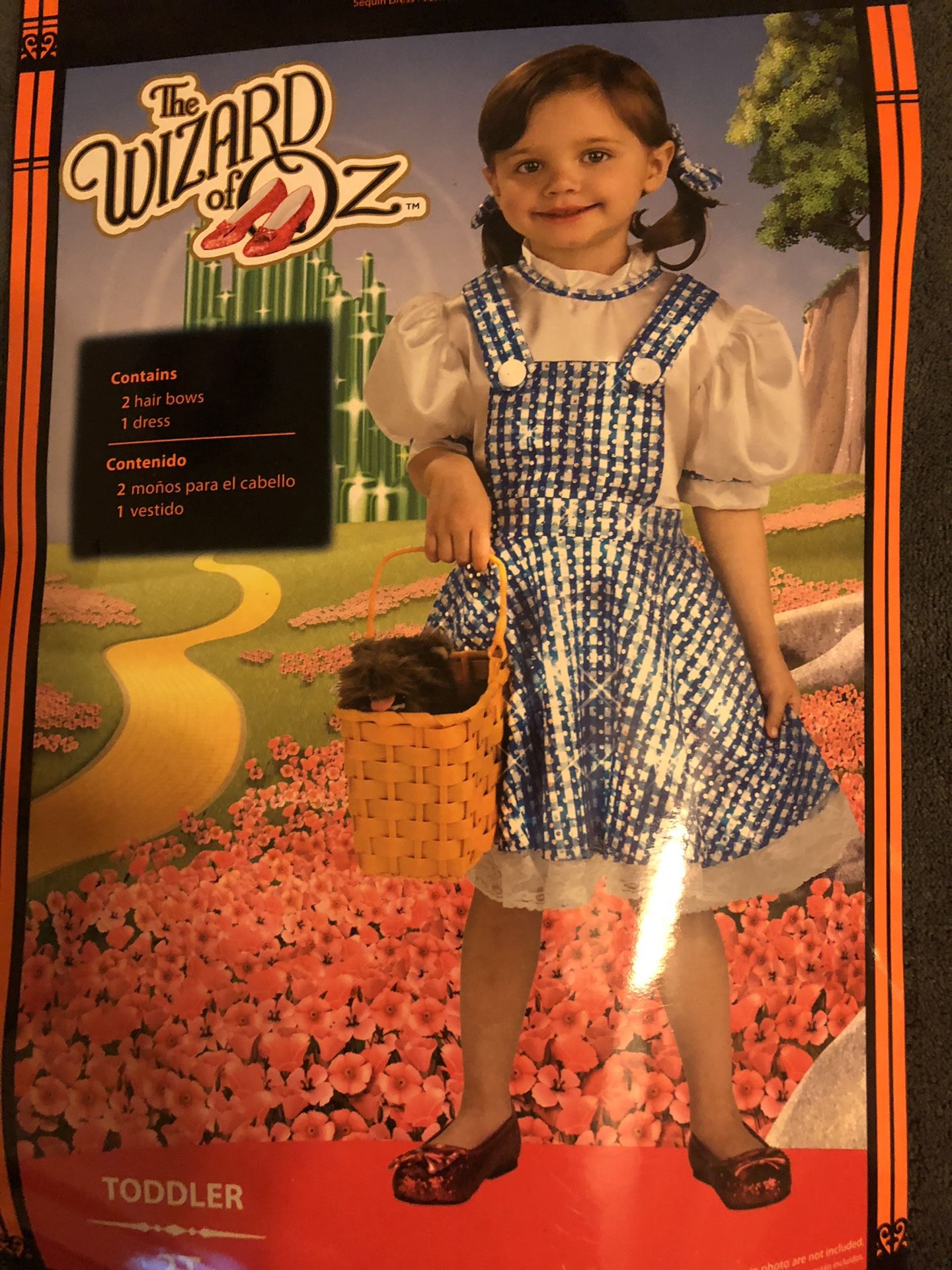 Wizard of Oz Costume