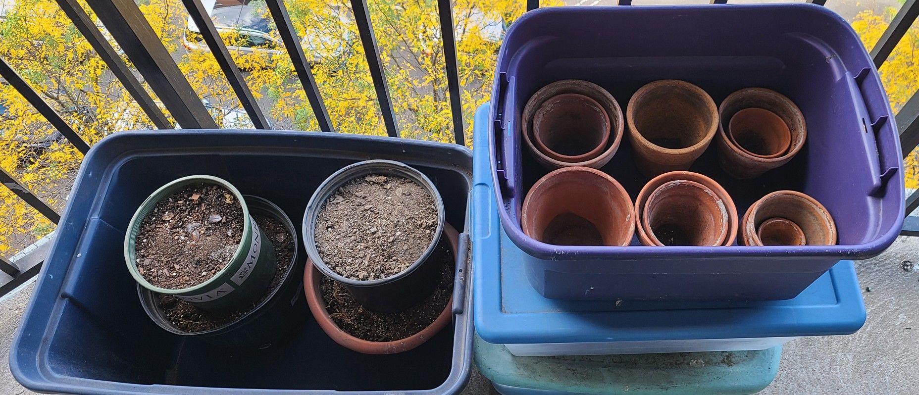 Terracotta & Assorted Plant Pots