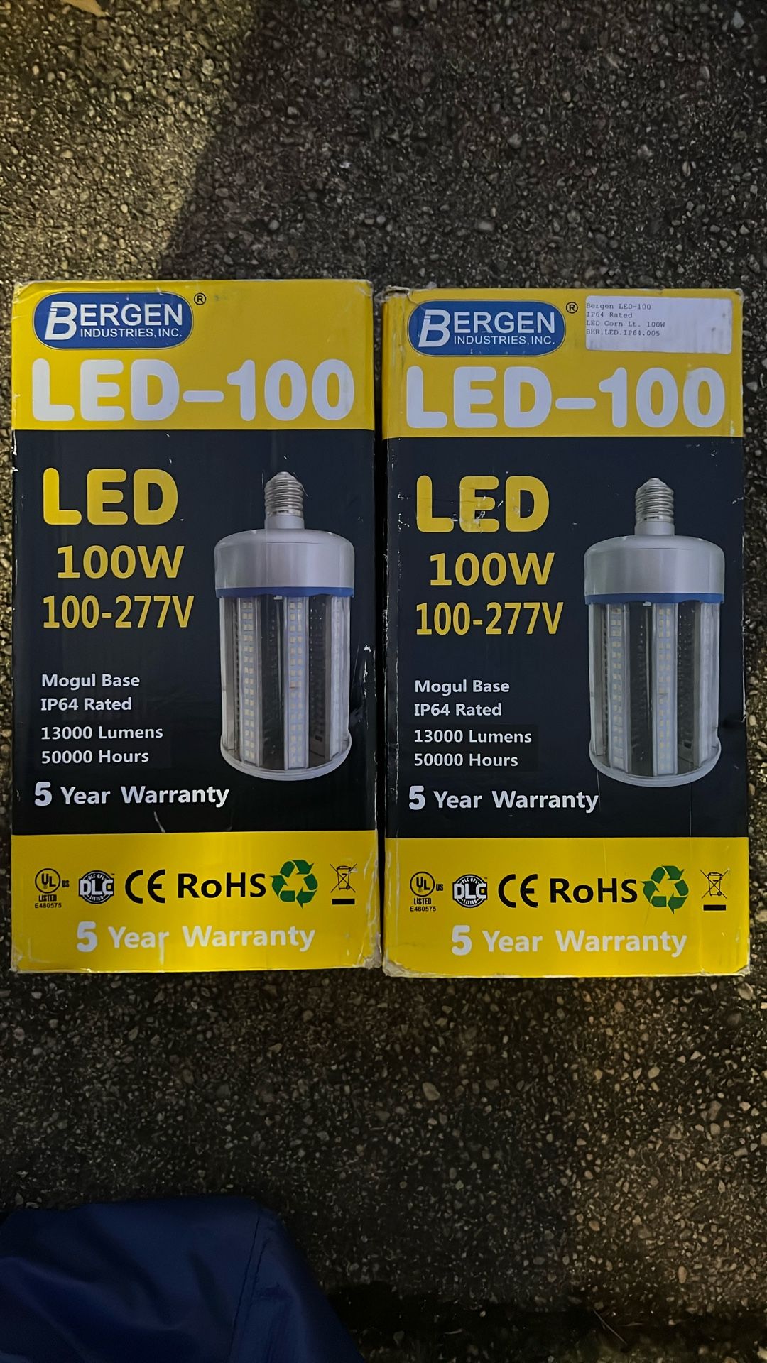 Bergen LED 100w Bulb