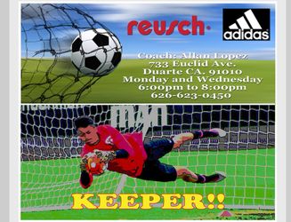 Goalkeeper coach