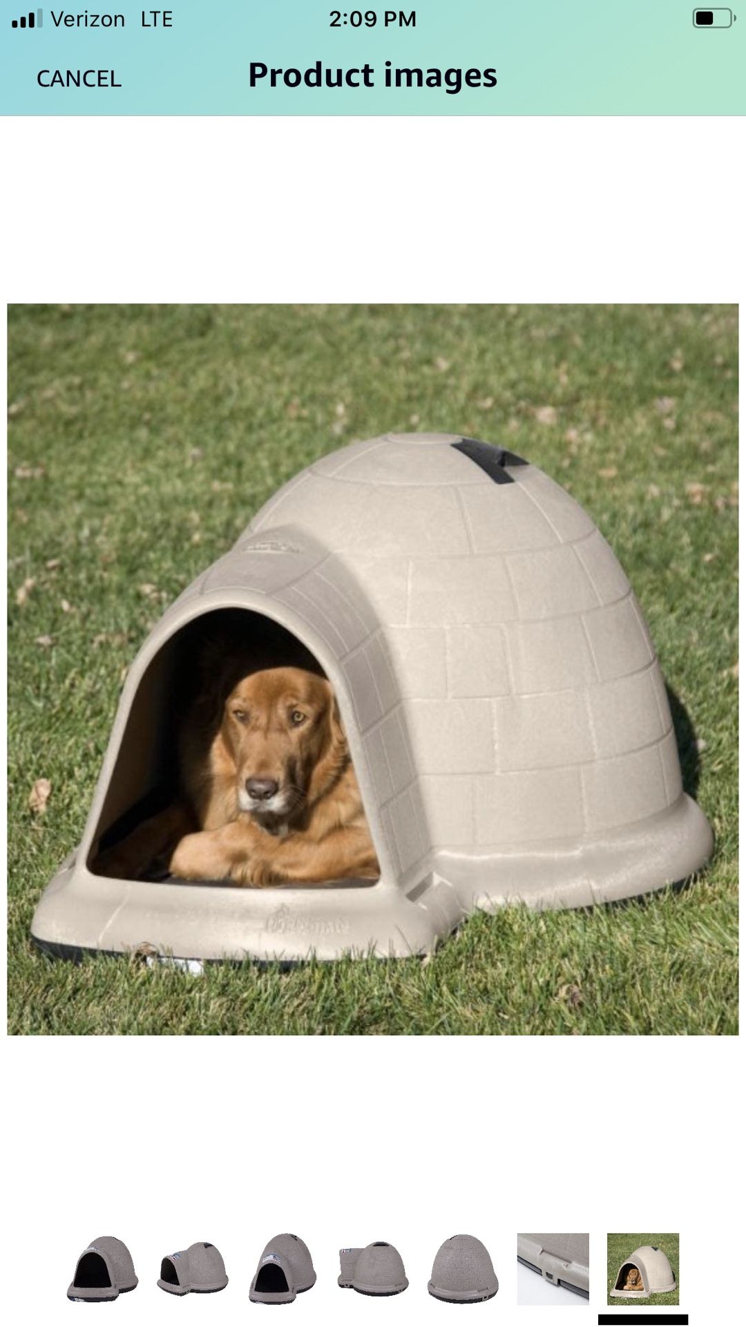 Large Dog House