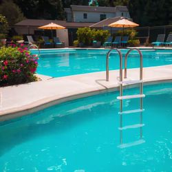 45”  5-Step Swimming Pool Spa Ladder Non-Slip Steps In-Ground Stainless Steel Step 