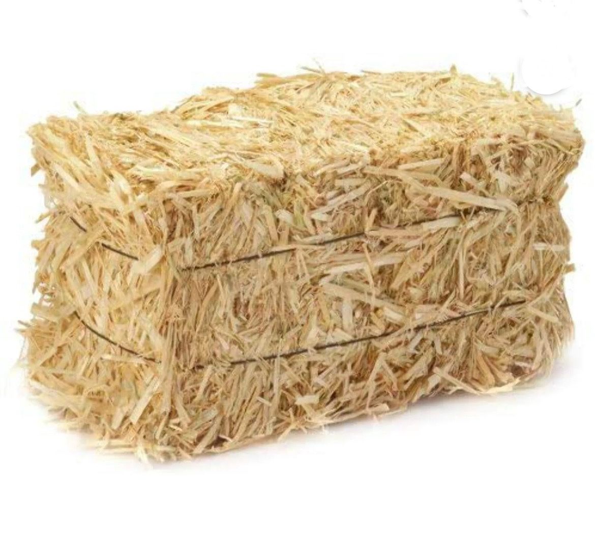Hay bales 15.00 Each