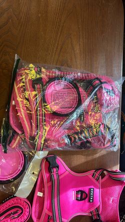 Harness and leash set (2 sets)