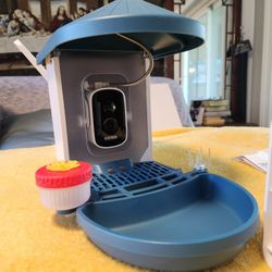 Birdfeeder With Camera