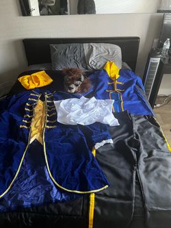 Beauty and The Beast Costume