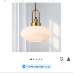 Pendent Lamp 12 In New $$45