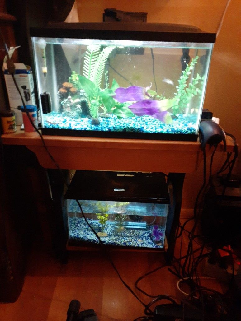 2 Fish Tanks And Stand Lots Of Extras