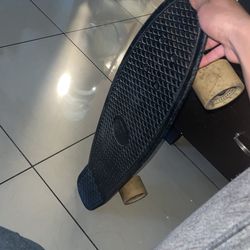 Penny Board Skateboard