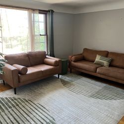 Complete Living Room Set- Furniture, rug, plant and End Tables