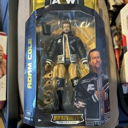 Aew Toy