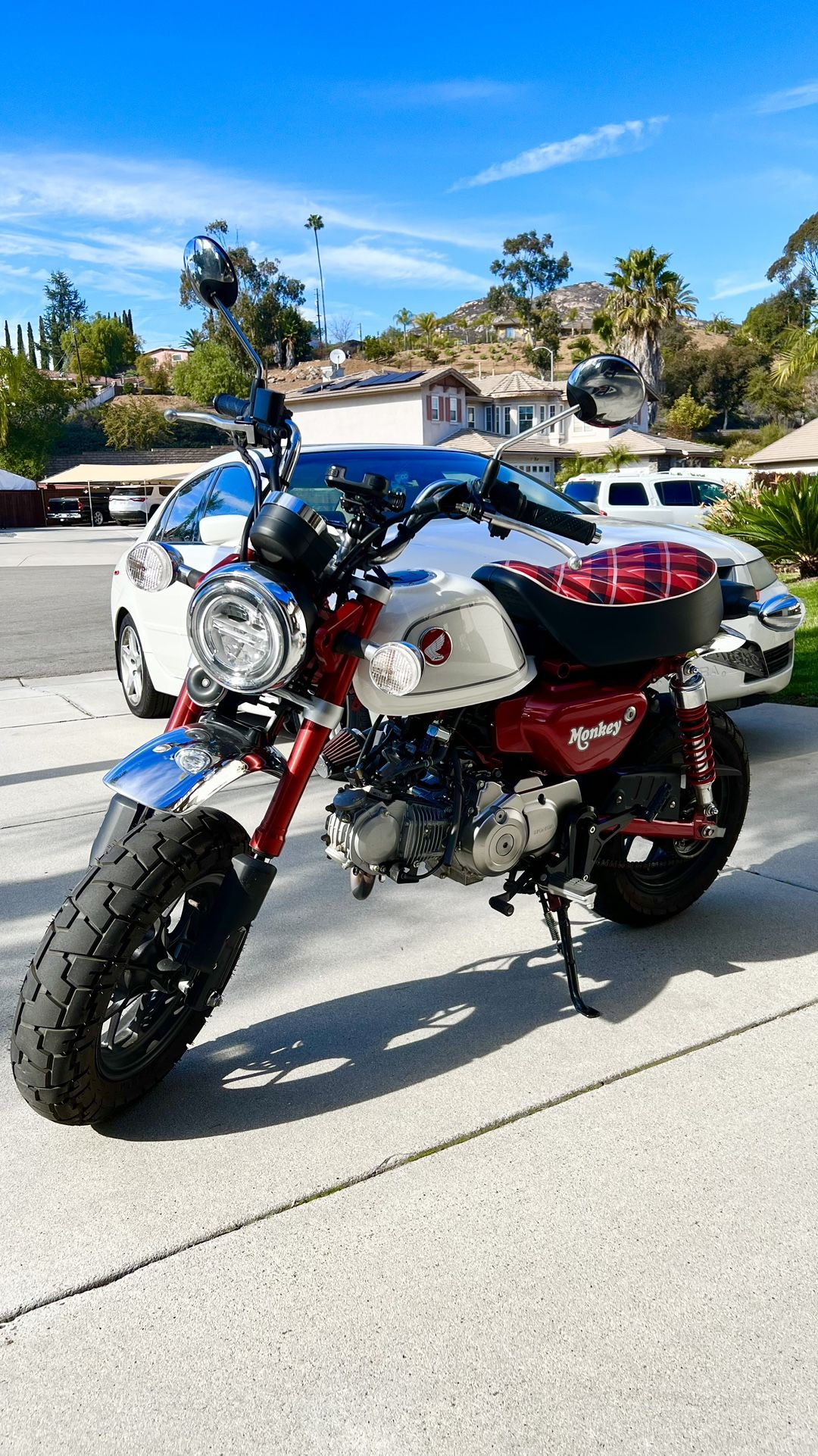Modded 2023 Honda Monkey