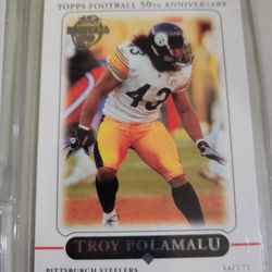Hall Of Fame Troy Polamalu 