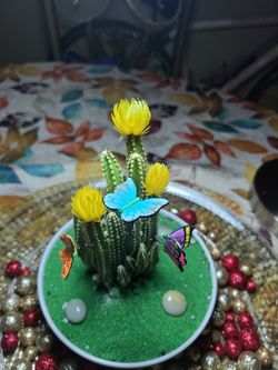 Yellow cactus