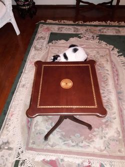 Bombay wooden side table