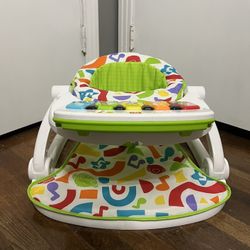 Fisher Price Portable Baby Chair