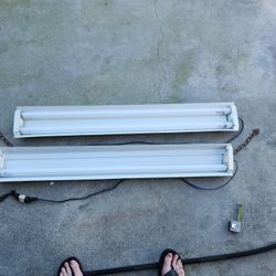 Fluorescent Lights With Bulbs N Hanging Chain