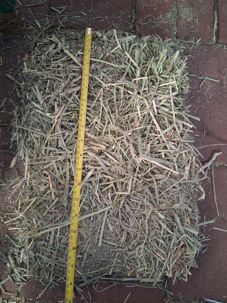 Fresh Compressed Timothy Hay