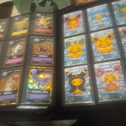 Pokemon Poncho Pichachu, Kanto, Poke Data Sets