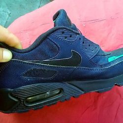 Brand New Nike Air Max/ Secret Pocket
