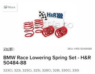 BMW Race Lowering Spring Set - H&R 50484-88.