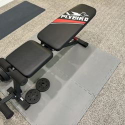 Exercise Bench Flybird New
