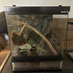 Zilla Terrarium