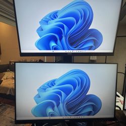Phillips Dual Monitor Set Up 24 And 22 With Stand 
