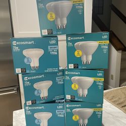 LED 75 Watt Lightbulbs 