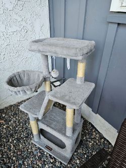 For cats