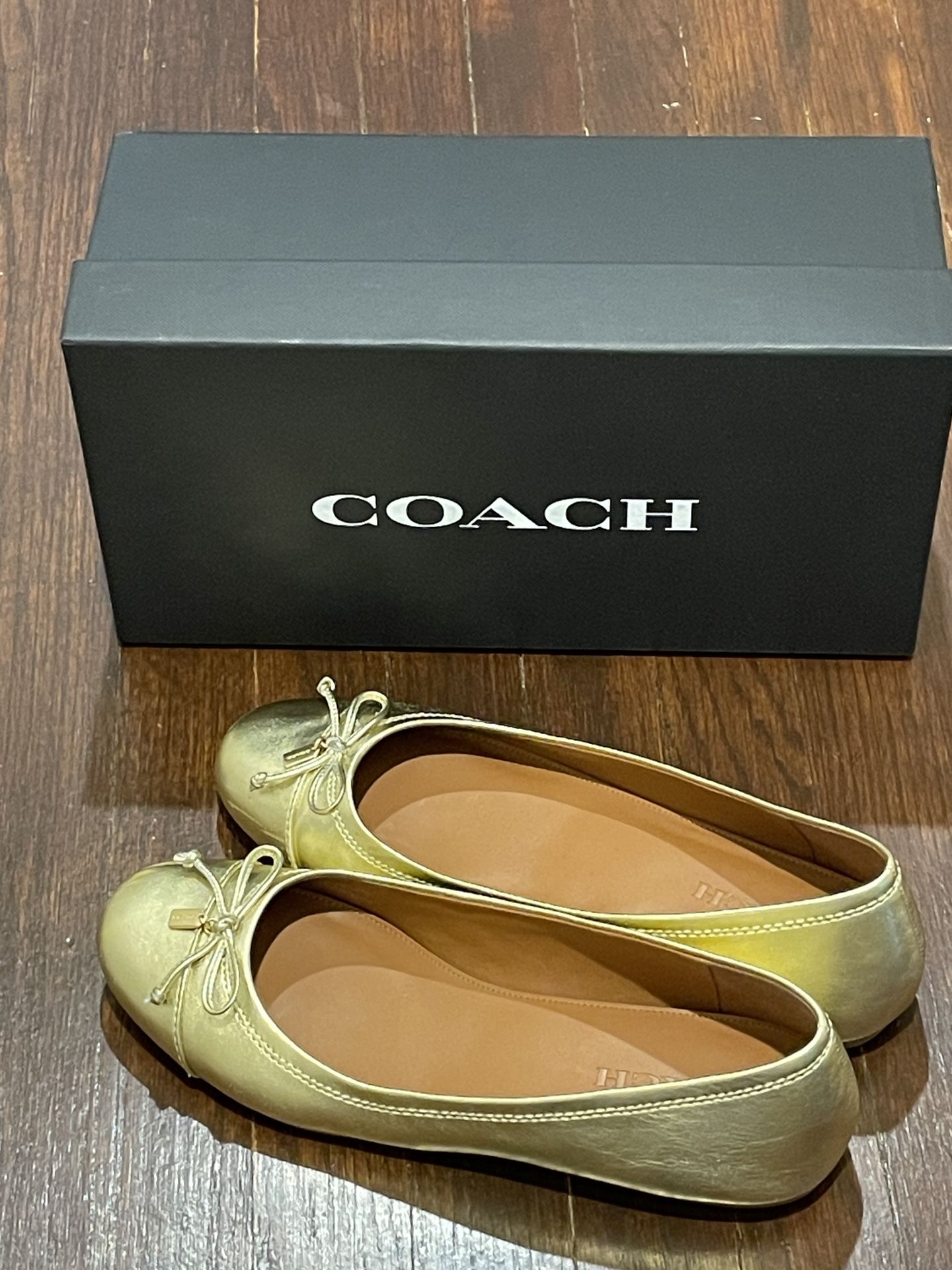 Coach shoes