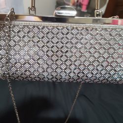 Sparkley Clutch Purse