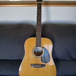 Johnson Acoustic Guitar 