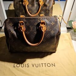 Louis Vuitton Speedy 25 Handbag