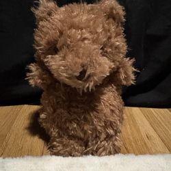 Jellycat Little Bear 
