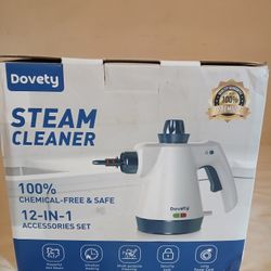 Team Cleaner