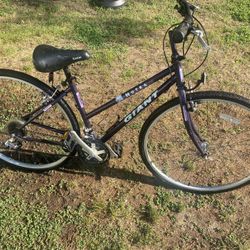 Giant Road Bike 700c Tires Bicycle 