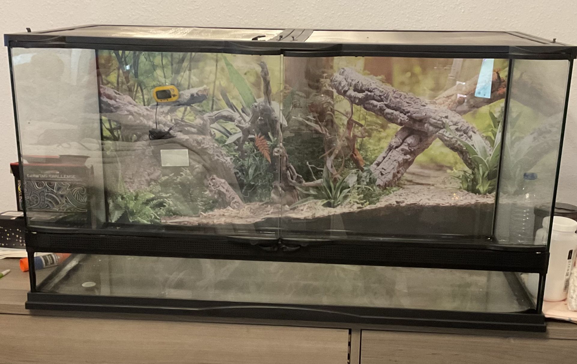40 Gallon Reptile Habitat